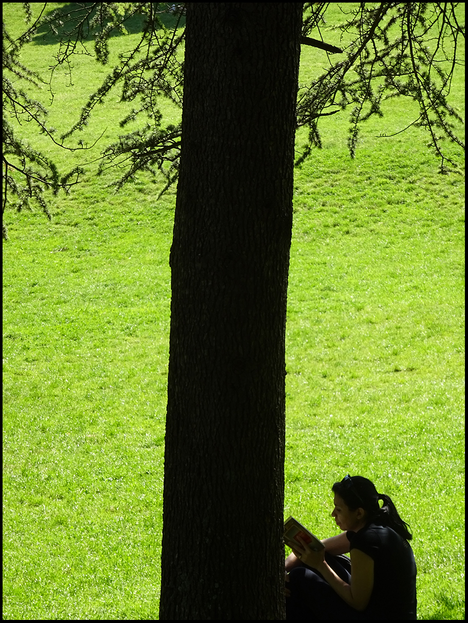 Miksang-Contemplative-Photography-Orderly-Chaos-Girl-and-Tree-copyright-Ivette-Ebaen